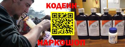 прущие грибы Заводоуковск